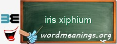 WordMeaning blackboard for iris xiphium